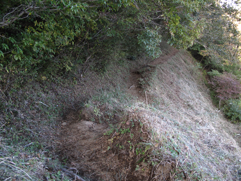20181102hike (259)